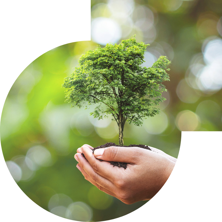 關懷人類、文化、環境與社會